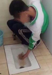 食粪在线视频,在线视频揭示的惊人真相